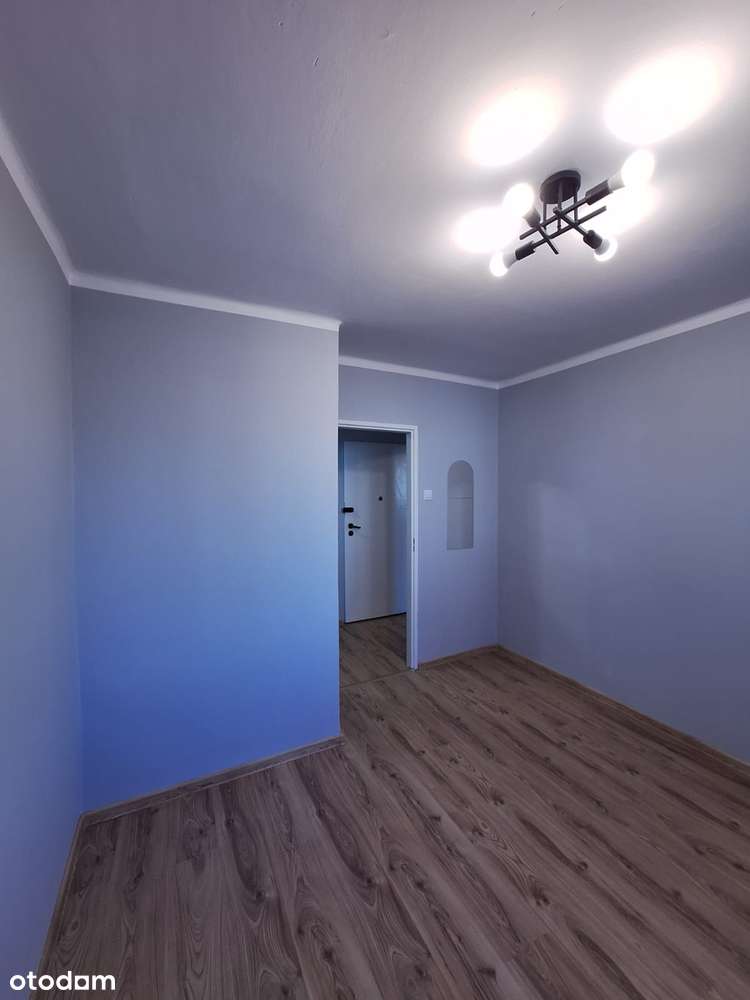 Przestronne 3 pokoje | Parter - Idealne dla rodziny i seniorów - Pełny obrazek: 5/12