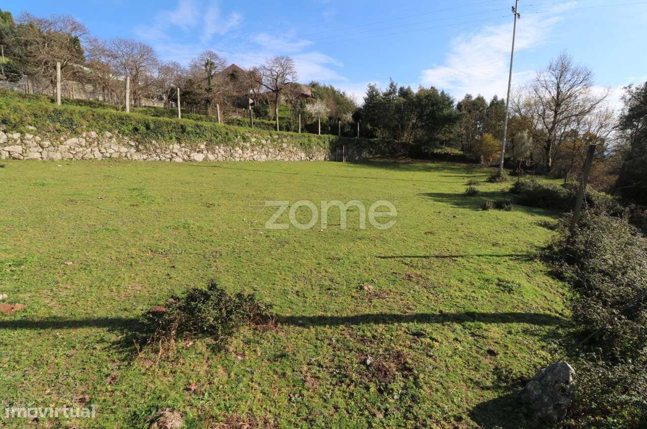 Terreno em Paçô urbanizável - Grande imagem: 5/15