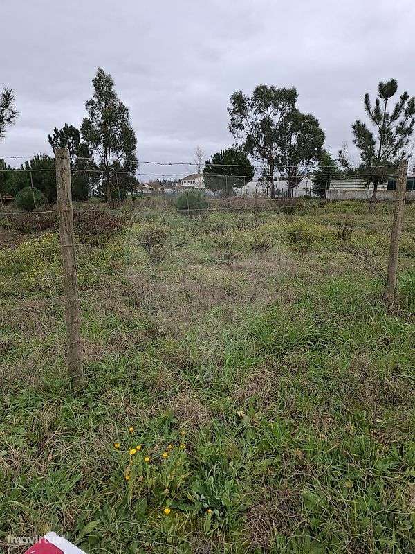 Terreno  para venda - Grande imagem: 3/14