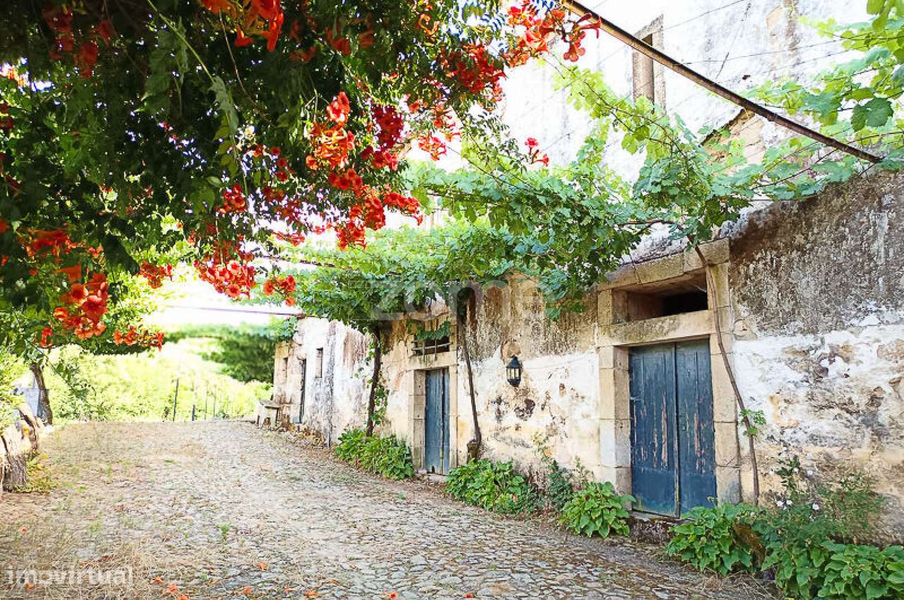 Quinta do Mosteiro de Salzedas com mais 17 ha e património histórico-14