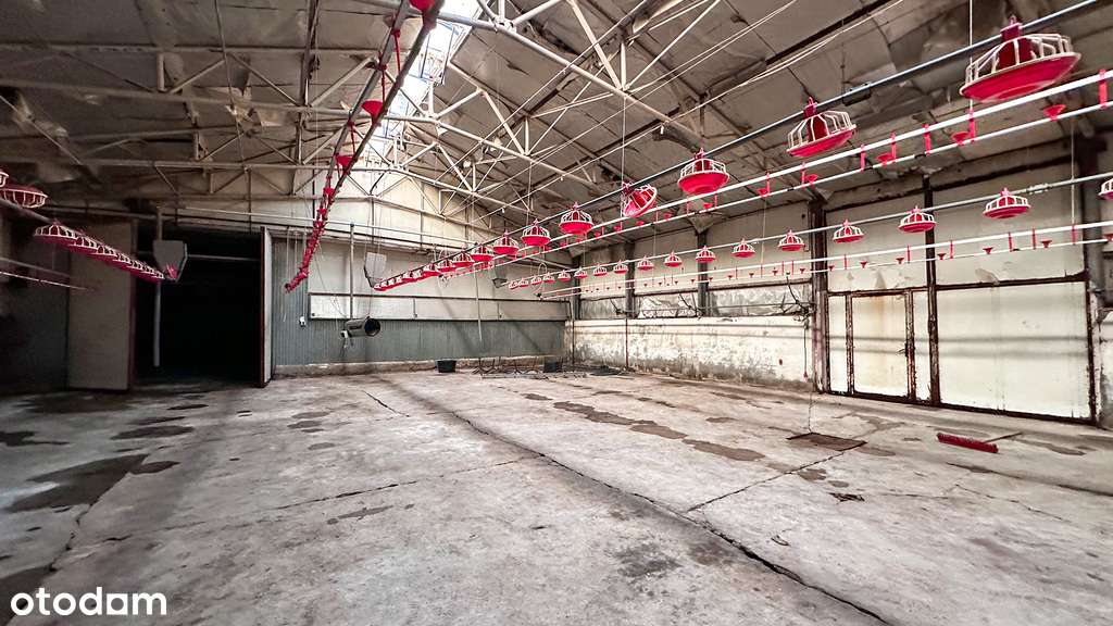 Częściowo zabudowana rolno-produkcyjna-9