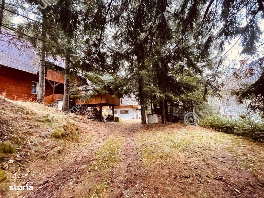 Casa de vacanta\/Cabana cu 8 camere de vanzare in Paltinis - Imagine principală: 2/16