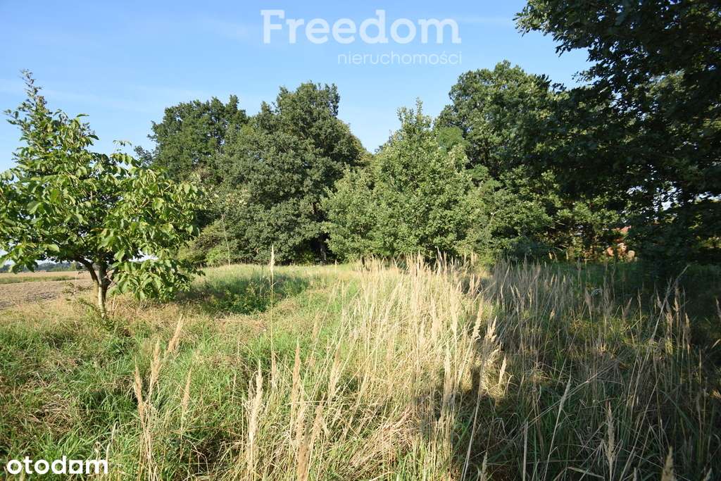 Działki na sprzedaż 17 ar - Pełny obrazek: 4/5
