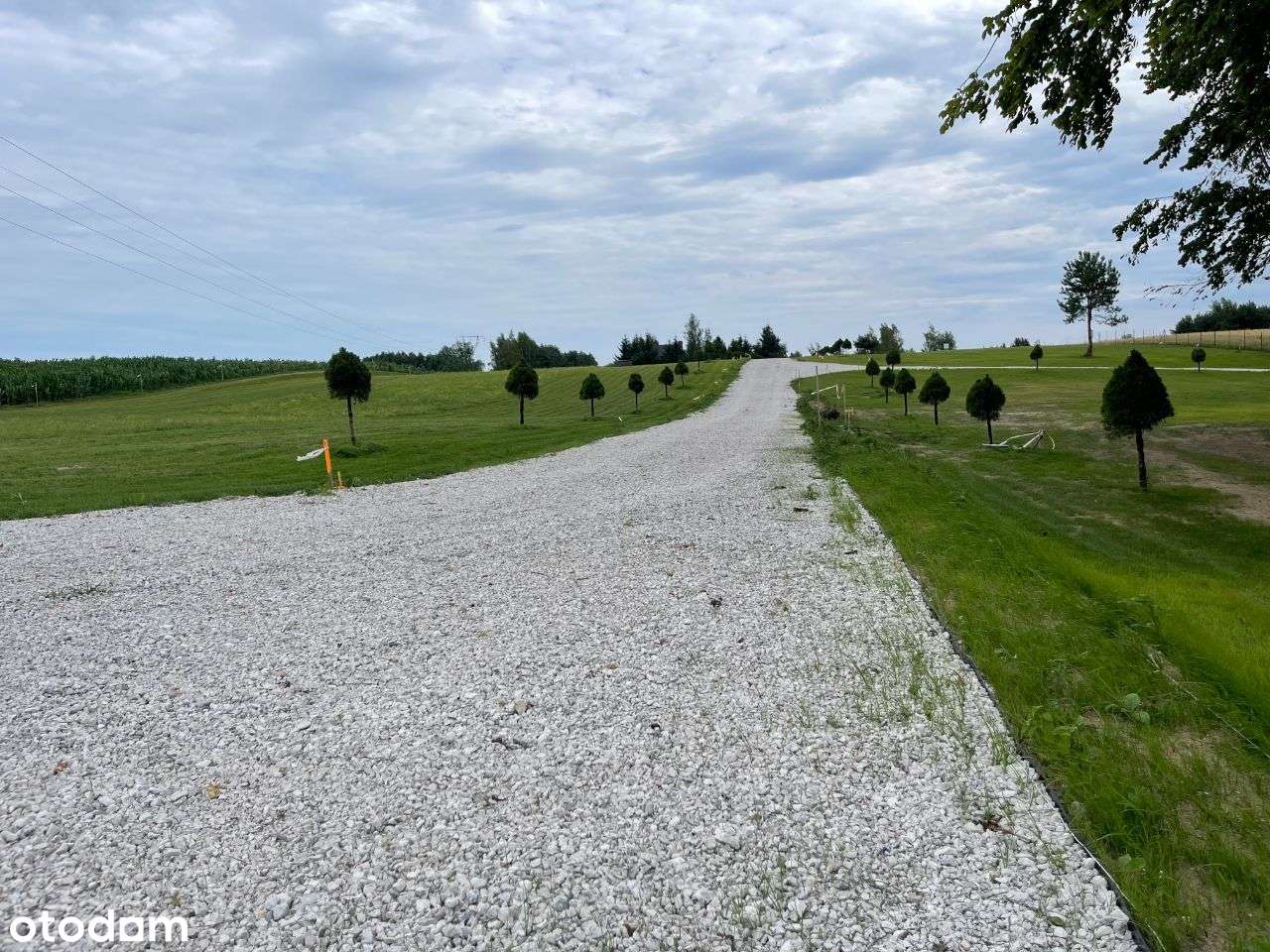Działka nad jeziorem z domem z bala naturalnego - Pełny obrazek: 4/20