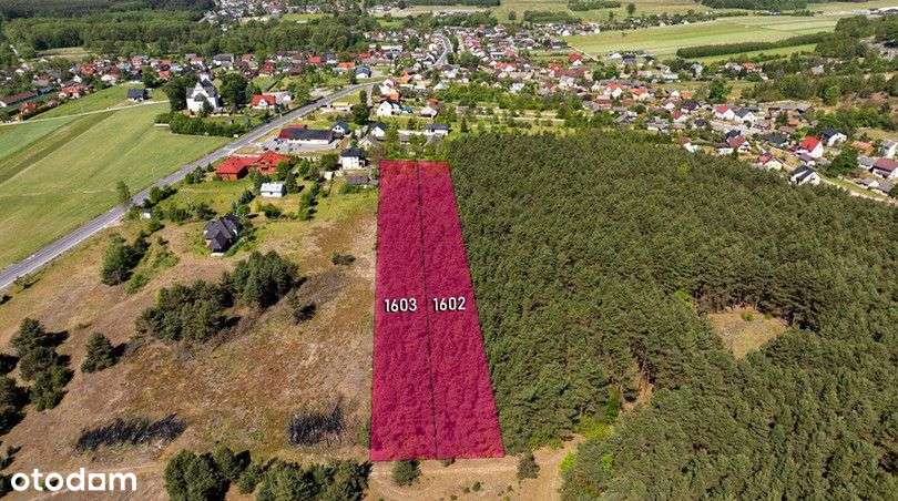 Działka budowlana | Oleszno | 1,04ha - Pełny obrazek: 3/12