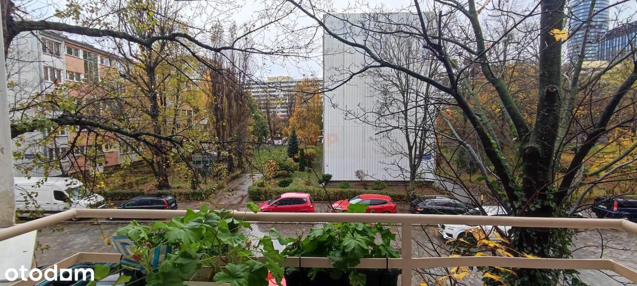 Klimatyczne 3 pokoje z balkonem i pięknym wykuszem - Pełny obrazek: 5/16