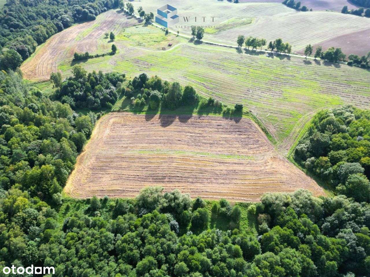 Działka, 1 374 m², Ornowo - Pełny obrazek: 5/7