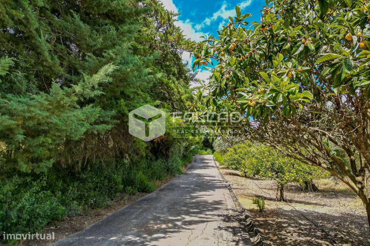 Moradia T5 Venda em Moçarria,Santarém-7