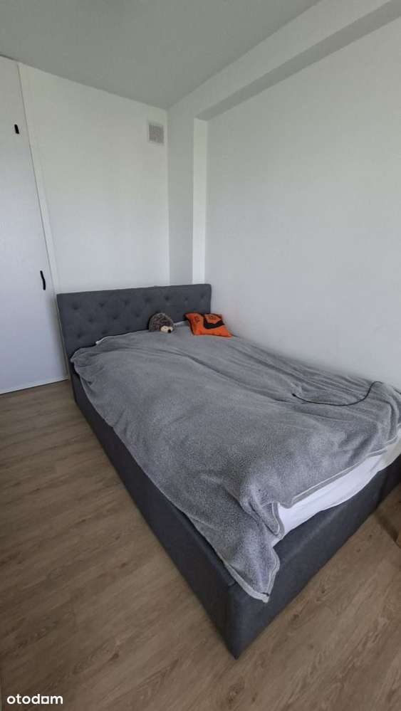 Ochota Lux po rem. 42m+Balkon Ciche - Widok 3
