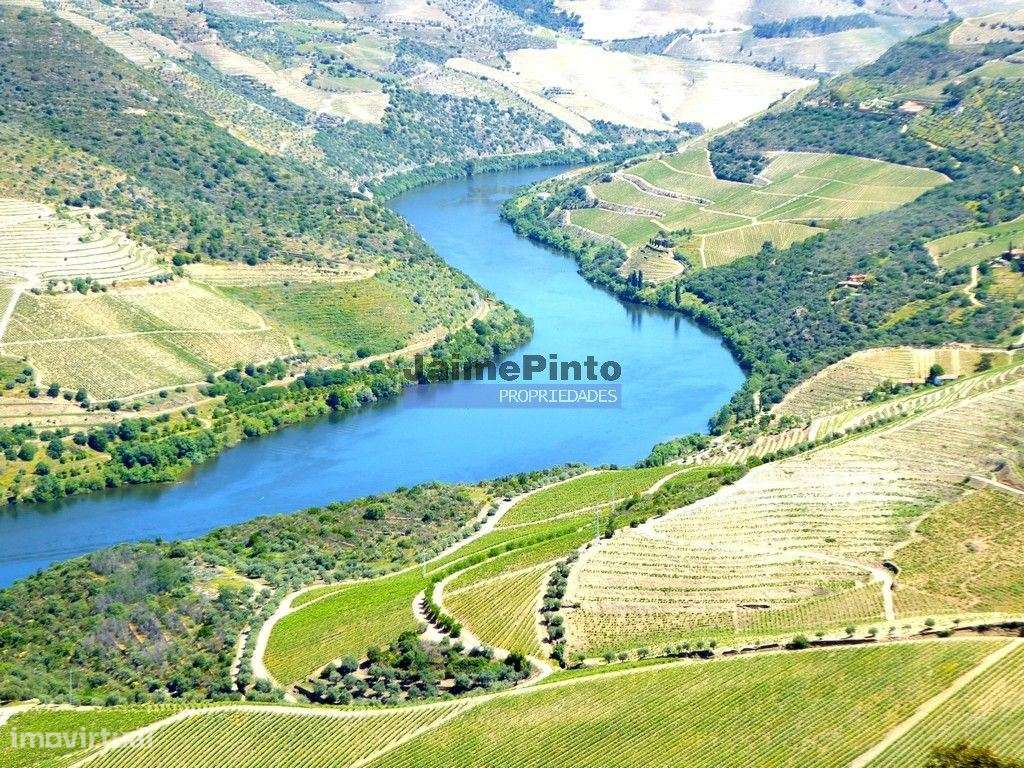 Quinta 98,7ha, Vinha, Turismo, rio Douro, Natureza imensa. Portugal... - Grande imagem: 5/9