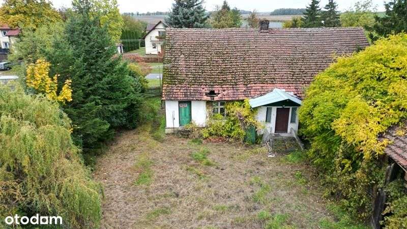 Zamieszkaj w spokojnym, pełnym zieleni miejscu - Pełny obrazek: 4/12