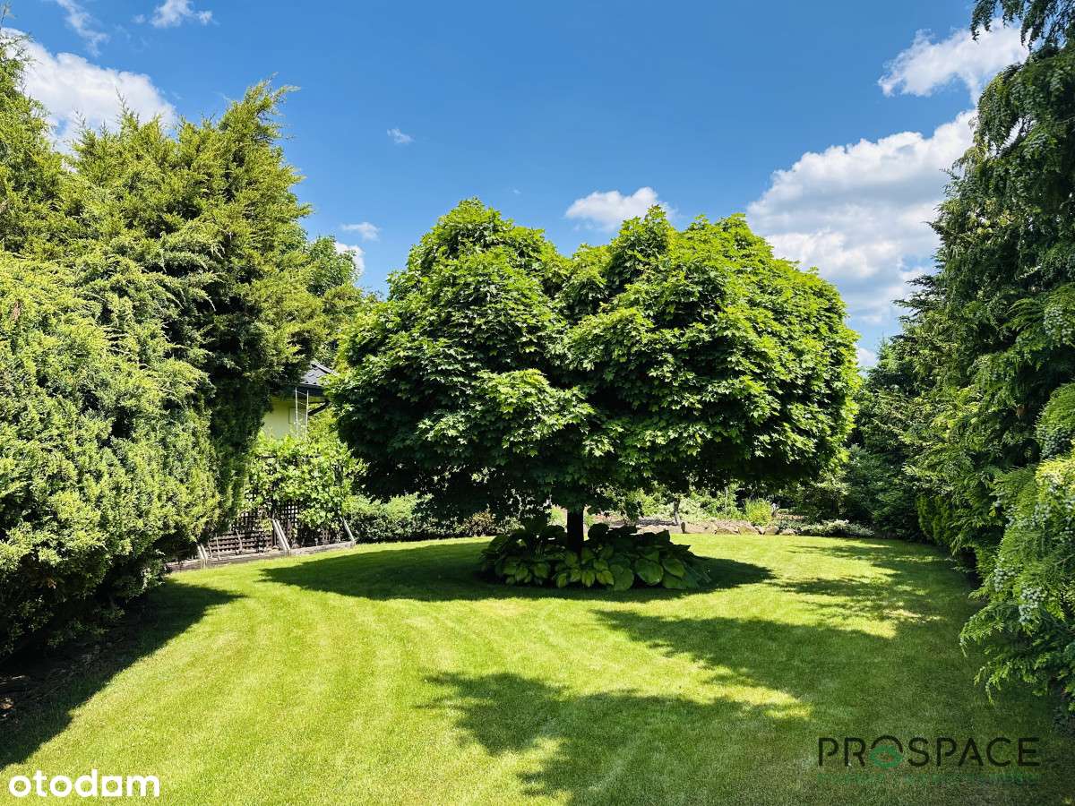 Ekskluzywny dom w wyjątkowej lokalizacji - Pełny obrazek: 4/13