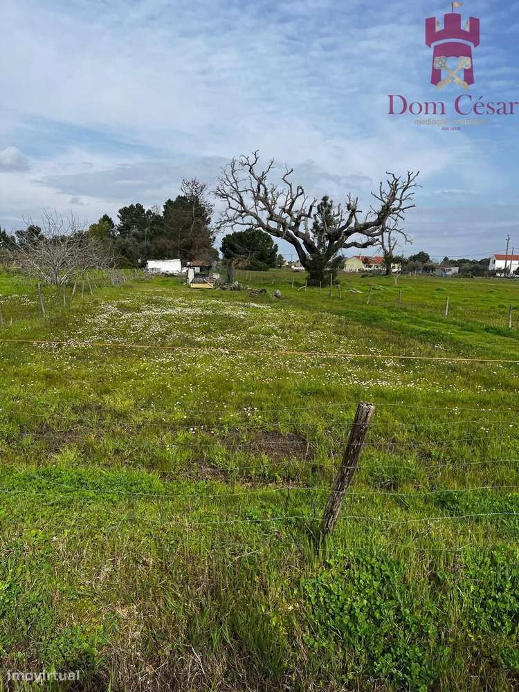 Terreno 1480 m2 - Glória do Ribatejo - Salvaterra de Magos-3