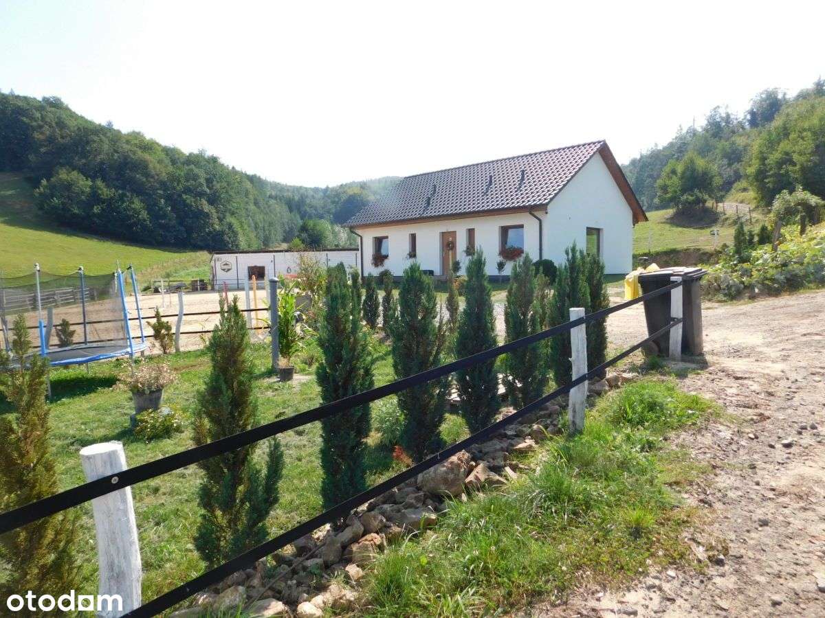 Dom Parterowy Lutomia Górna Pow. Świdnicki - Pełny obrazek: 5/20