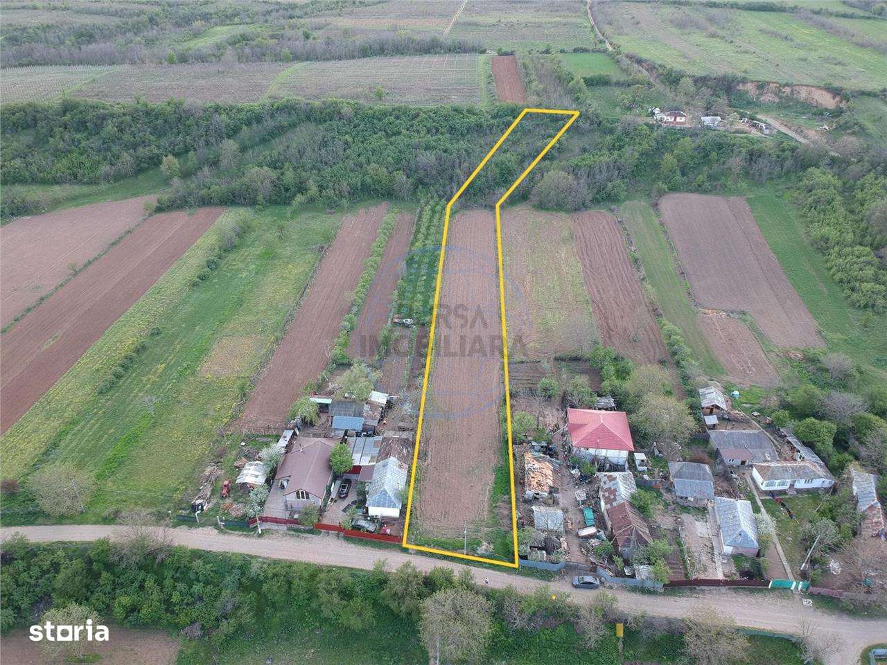 TEREN INTRAVILAN GAGESTI - Imagine principală: 3/4