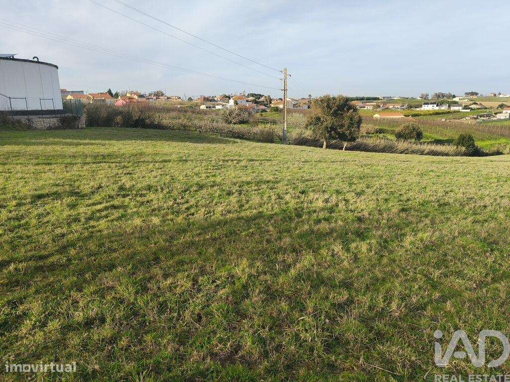 Terreno Agrícola em Cela - Grande imagem: 3/13