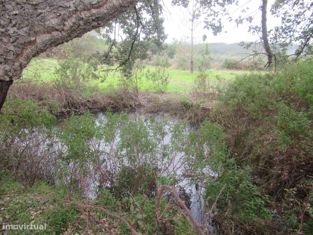 Terreno Rústico | Ninho do Açor/Sobral do Campo, Castelo Branco - Grande imagem: 5/22