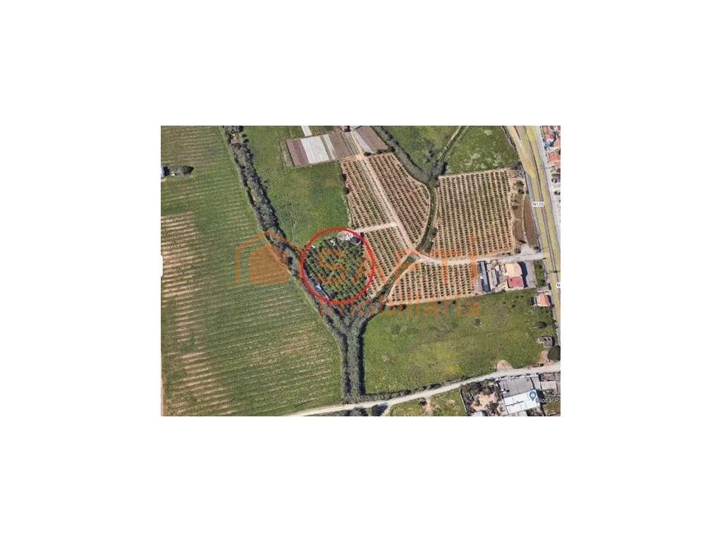 Quinta com Amplo Terreno Agrícola e Projeto de Construção - Grande imagem: 2/2