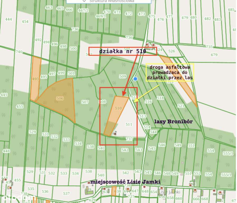 Działka w otoczeniu lasów w Saczynie - Pełny obrazek: 4/10