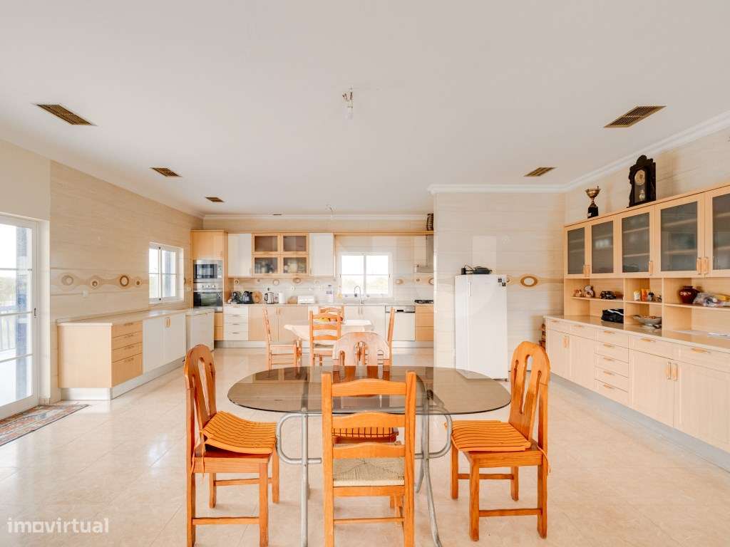 Quinta com 4,8 hectares e casa T9 em Vila Nova da Baronia-26