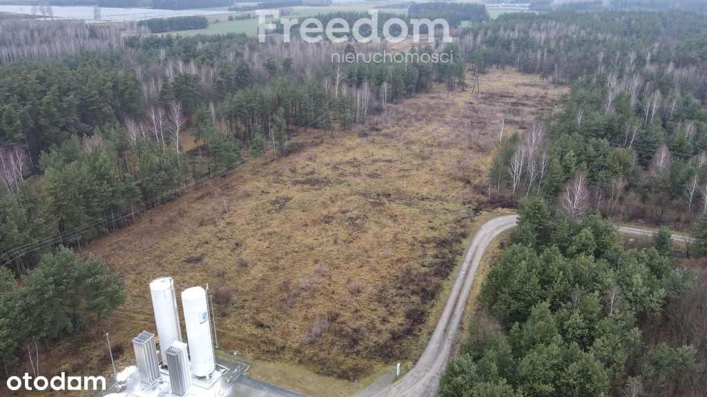 Działka przemysłowa 3Ha - pod mpzp Wola Paprotnia - Pełny obrazek: 4/5