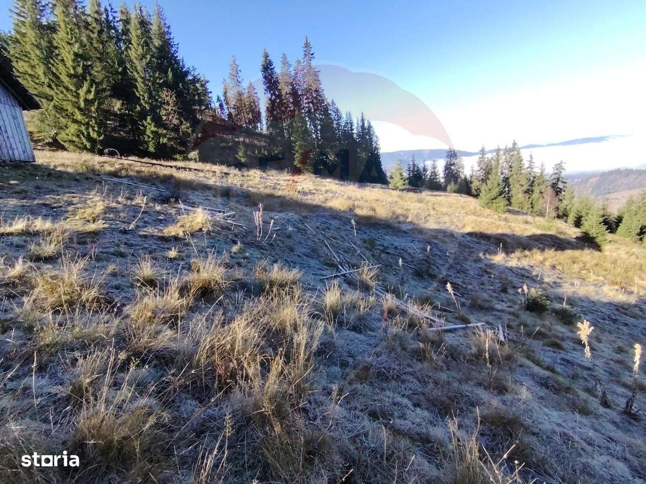 Teren 31,461mp Panaci / Prelungirea Ialovita-8