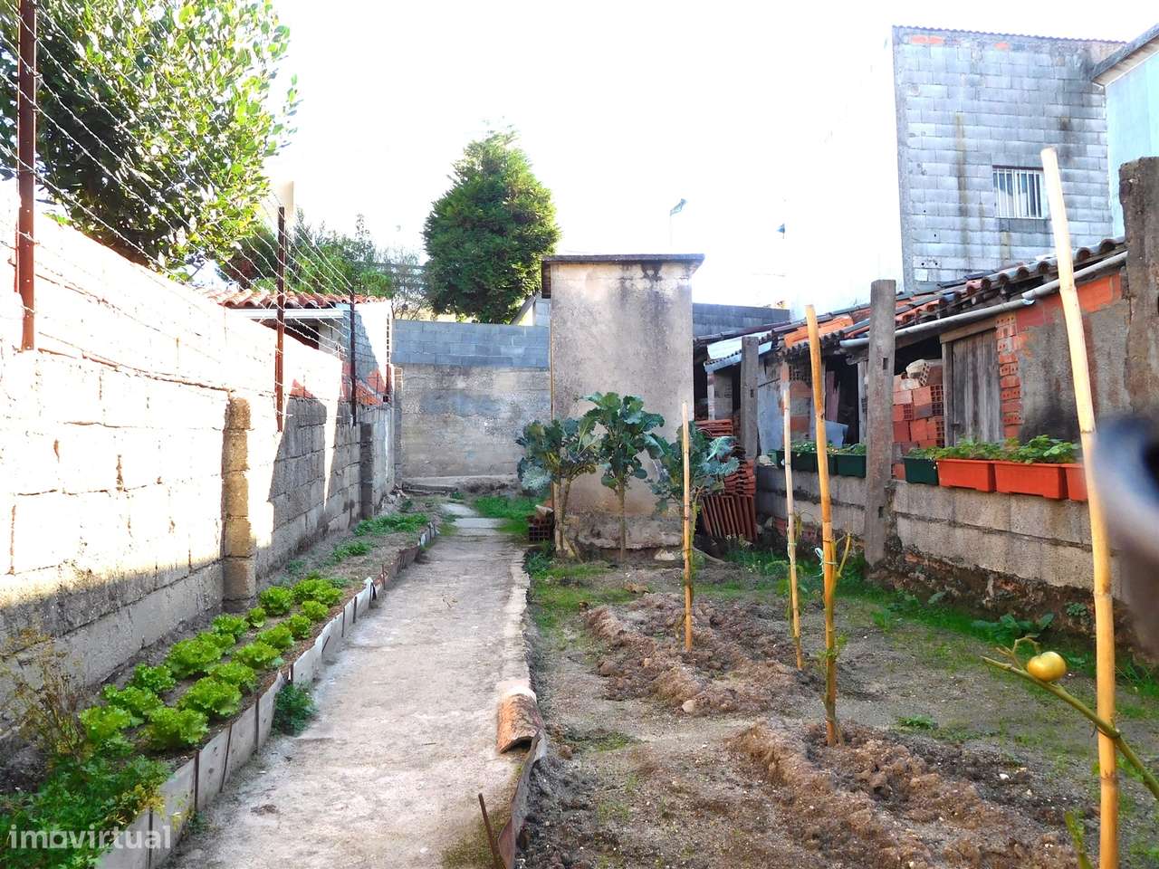 Moradia T3 / Reconstruir / Com Projeto Aprovado / Marrazes / Leiria - Grande imagem: 5/8