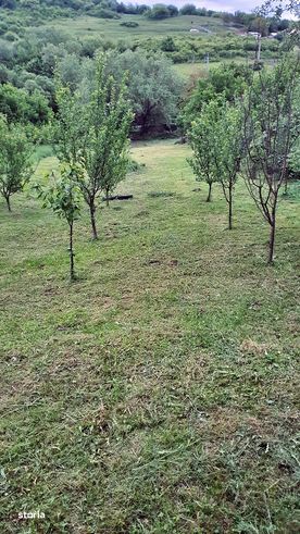 Teren 1276 mp intravilan, zona Valea Castailor-3