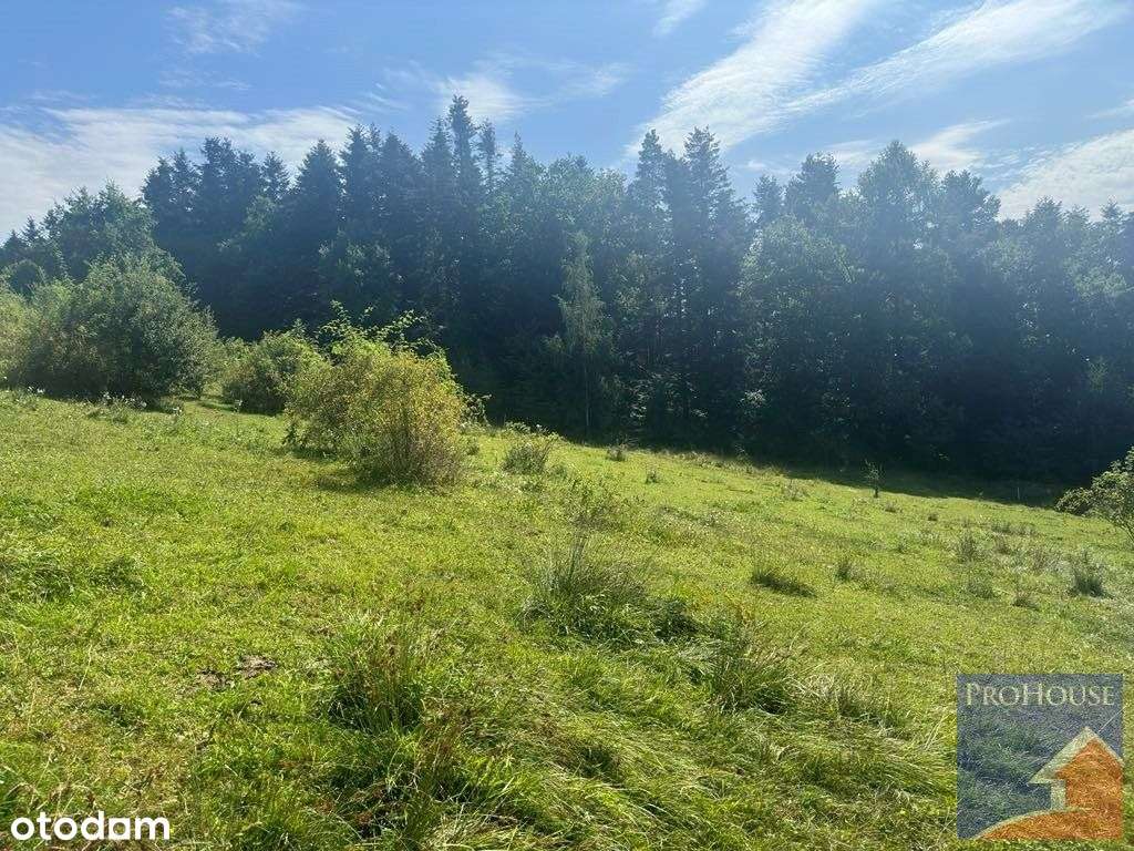 Działka, 3 030 m², Wysokie-4