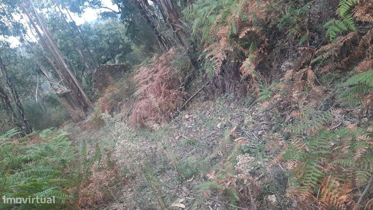 Casa em Ruína inserida em terreno com um enorme potencial - Grande imagem: 3/5