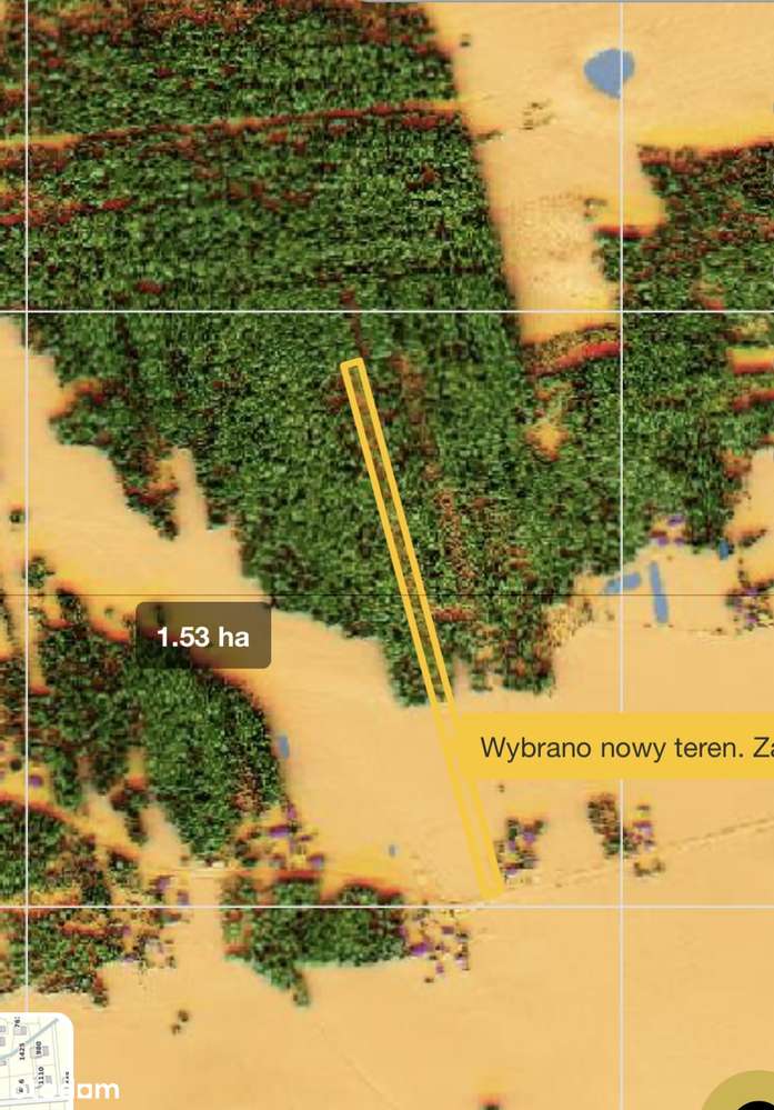 Chojny, 4 działki o łącznej powierzchni 3,5ha, zab.siedliskowa-5