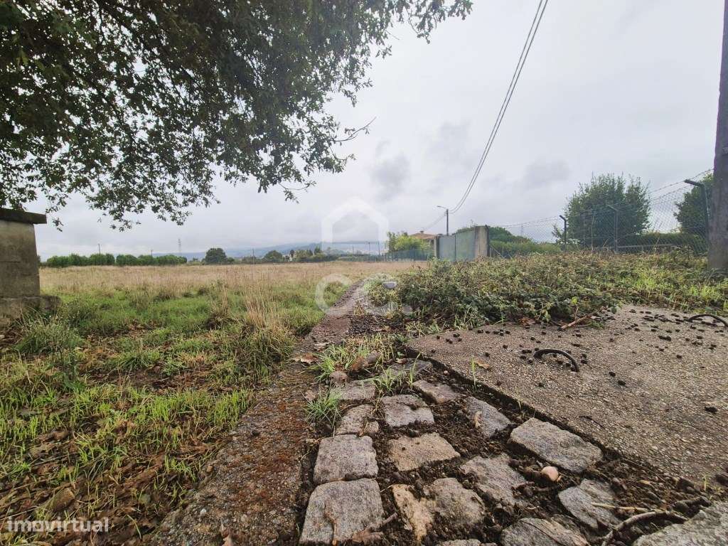 Terreno Agrícola na Lama - Grande imagem: 4/9