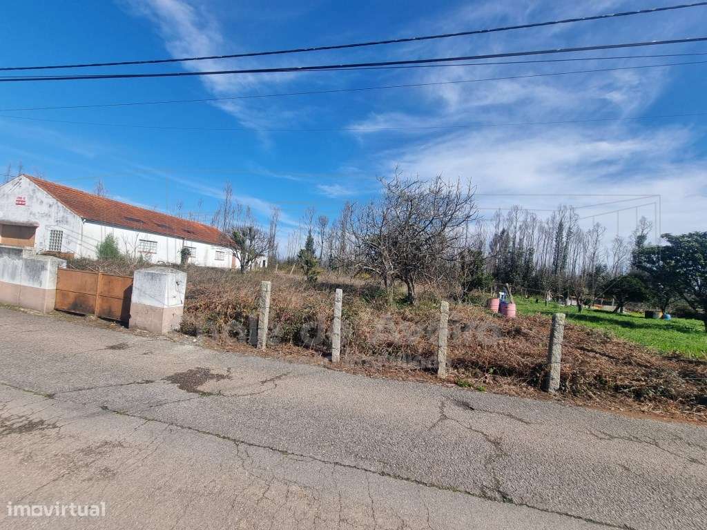 Terreno Misto com Armazém - Grande imagem: 3/6