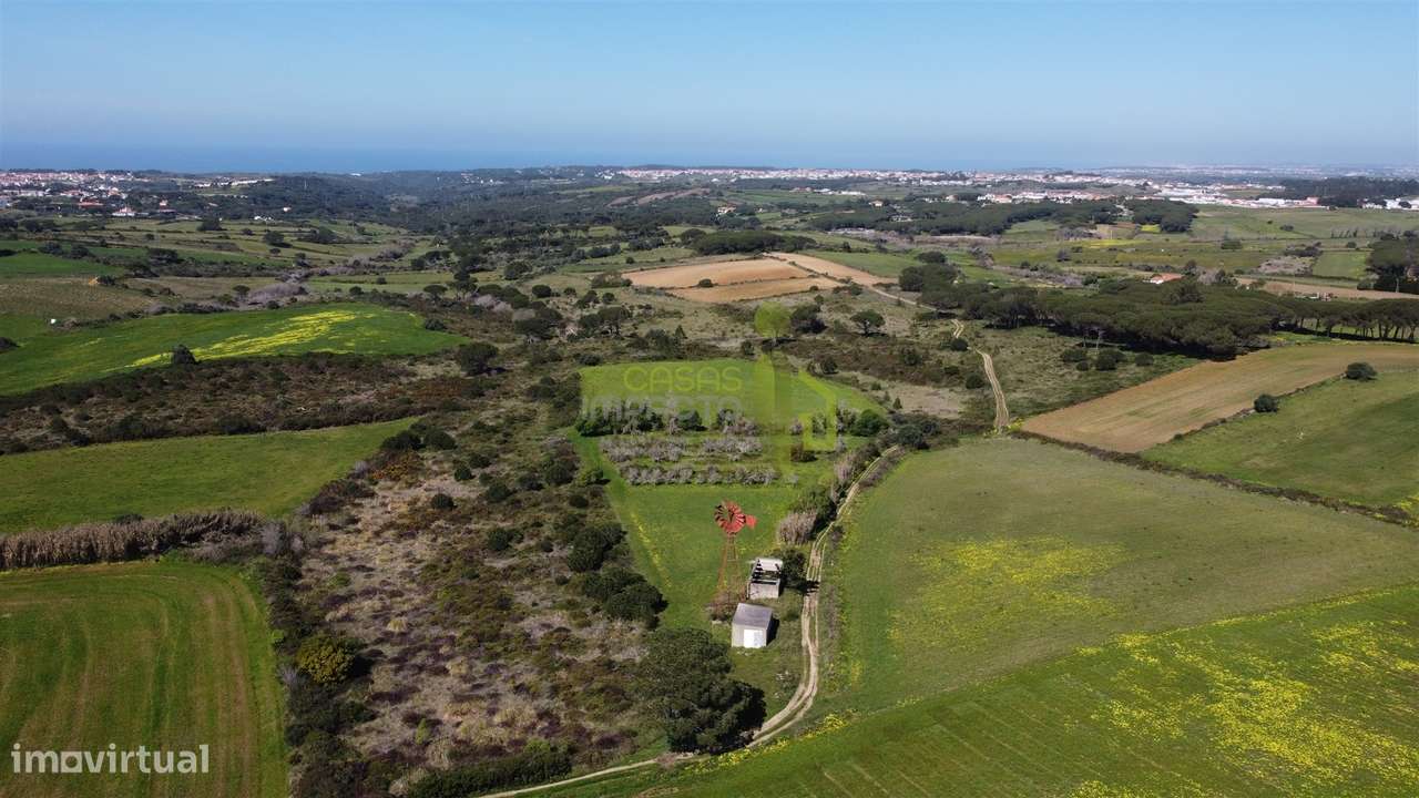 Terreno Rústico com Vista Mar e Serra – Sintra - Grande imagem: 5/14
