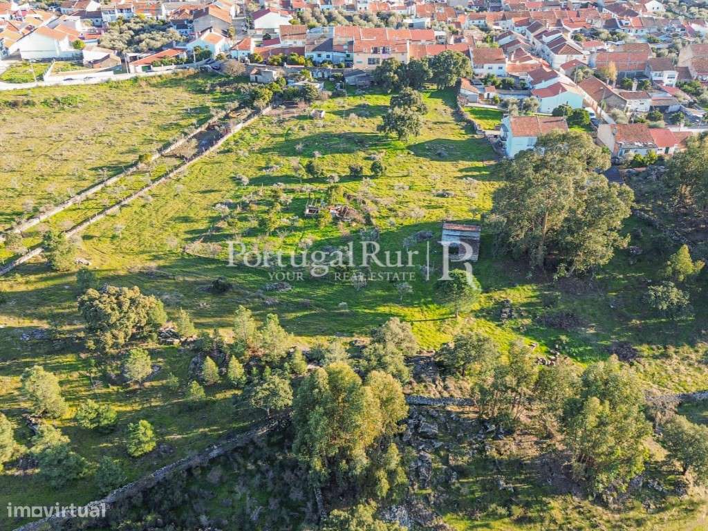 Quinta com 1,47 hectares em Alcains - Grande imagem: 4/39