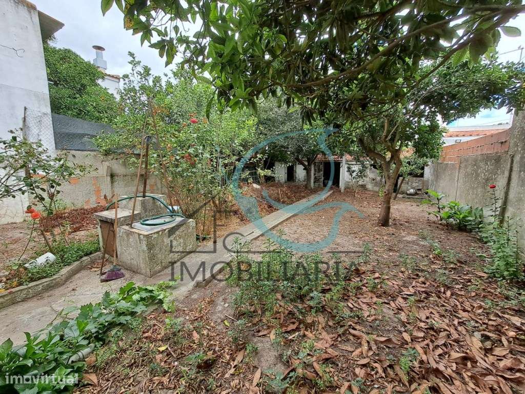 Moradia nas Amoreiras em Grândola - Grande imagem: 5/24