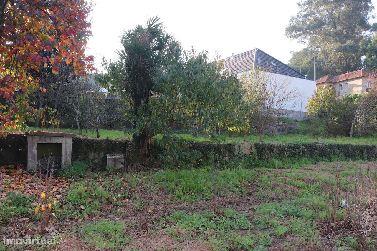 Moradia Isolada T3+3 Venda em Campo (São Martinho), São Salvador do Ca-12