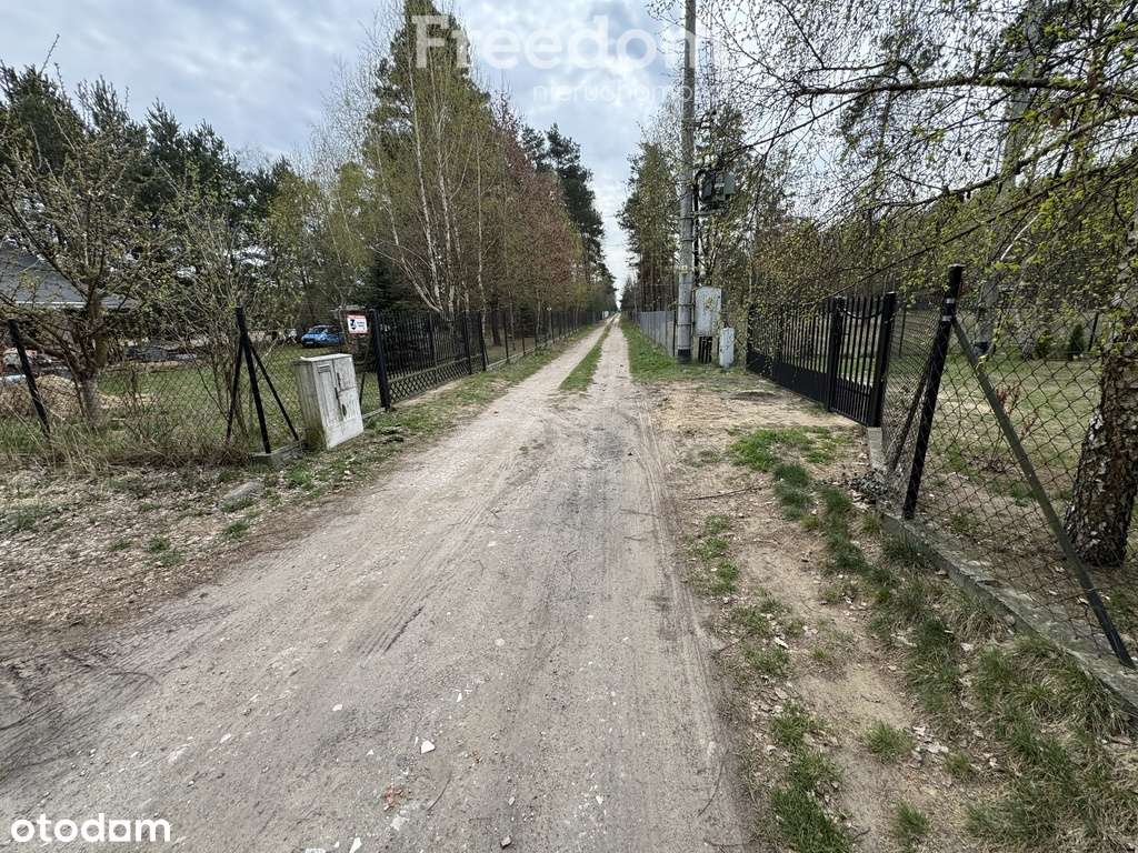 Okazja piękna działka w Joniec Kolonia super cena - Pełny obrazek: 5/20