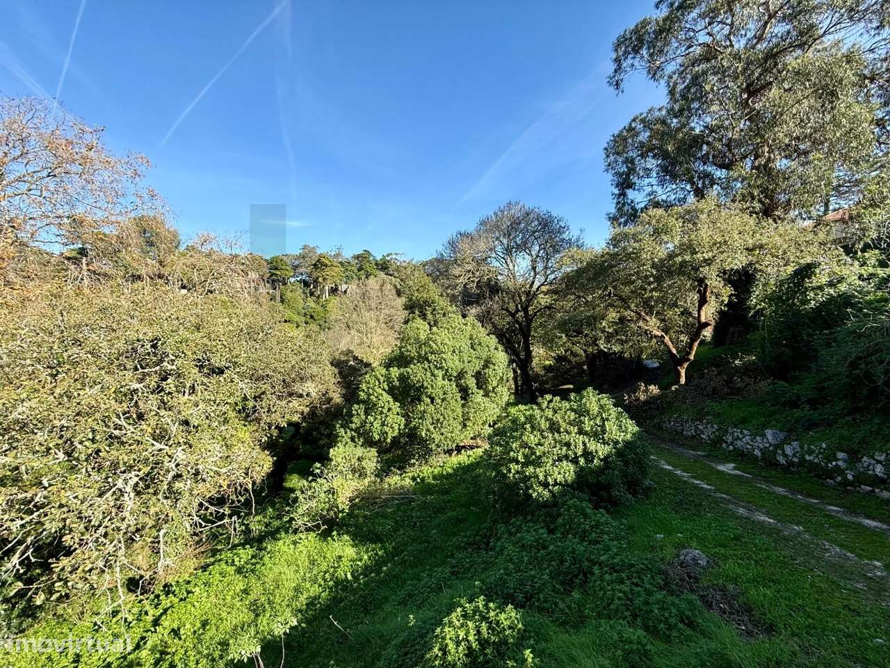 Refúgio Privado na Vila de Sintra com vista para a Serra - Três fraçõe - Grande imagem: 5/60