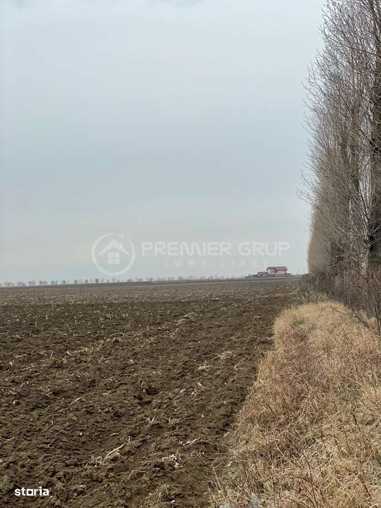 Teren Miroslava - Ferma Liliac, 20.000mp - Imagine principală: 4/7