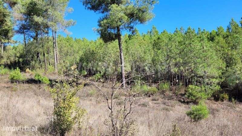 Terreno Rústico / Fundão, Enxames - Grande imagem: 3/9