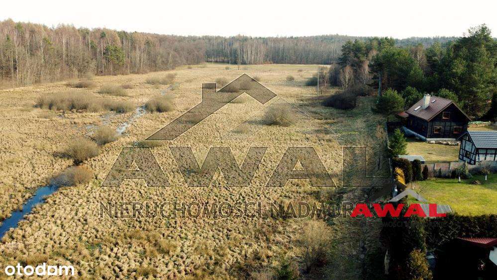 Duża działka rolna w Leśniewie blisko lasu-19