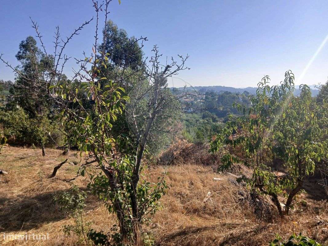 Terreno  para venda - Grande imagem: 4/7