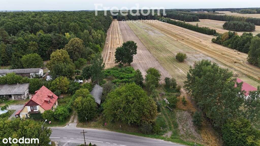 Nieruchomość we wsi Julianów 22 ary, drewniany dom - Pełny obrazek: 4/20