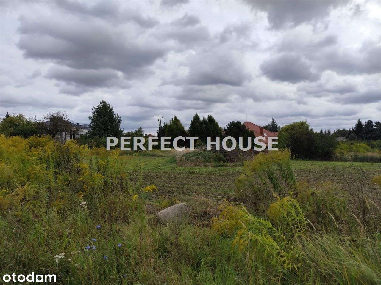 Piękne Działki os. Kwiatowe Możliwy Płaski Dach! - Pełny obrazek: 5/7