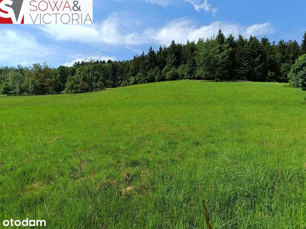 Widokowa działka pod lasem , prąd na działce-6