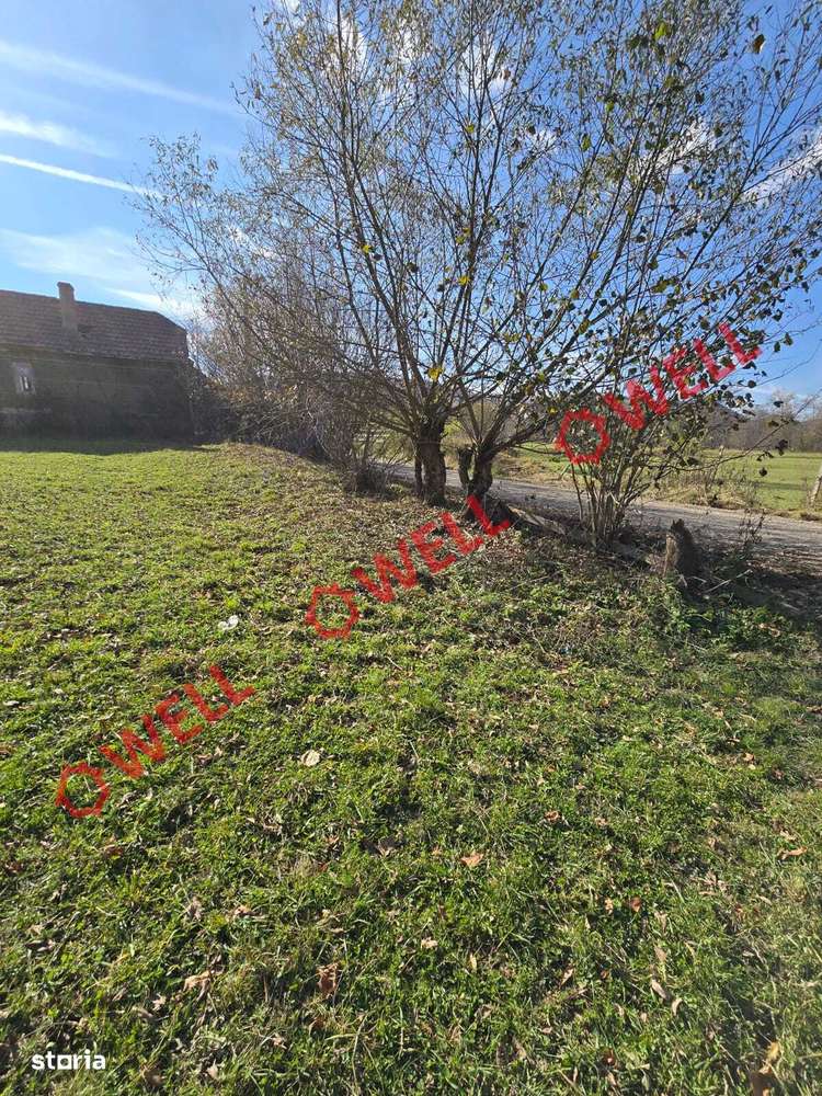 Casă cu istorie și natură de vânzare în Vama Buzăului, sat Acriș! - Imagine principală: 3/17