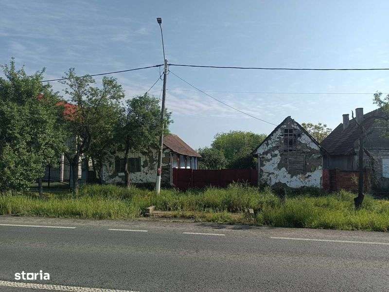 Teren Intravilan Topolovatu Mare 1700 mp - Imagine principală: 4/4