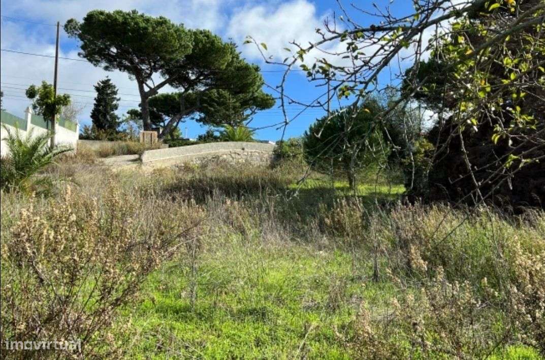 Terreno com 4392m2 a 5 minutos das praias de Sesimbra - Grande imagem: 3/5