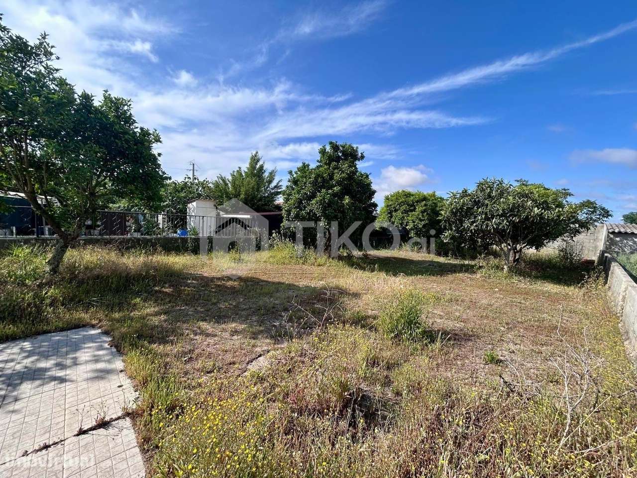 Moradia T3 com Anexo em Salvaterra de Magos-15